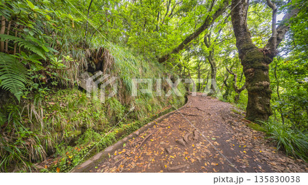 Vereda dos Balcoes PR11 Mountain Footpath, Madeira, Portugal 135830038