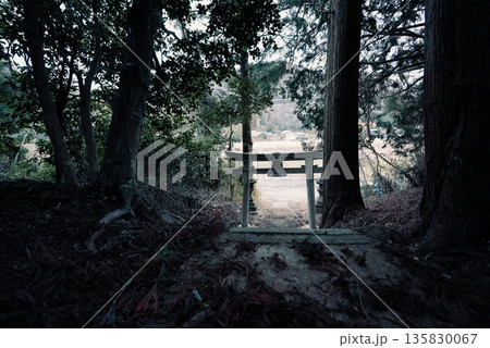 参道の奥に潜む不気味な気配　神域の入口に漂う異界感 135830067