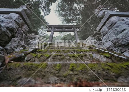 石段の先に広がる神社の世界 神域へと導かれる道 石段の先に広がる神社の世界 神域へと導かれる道 135830088