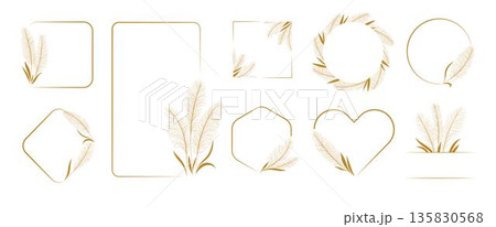 Dry pampas grass. Set of floral frames, and borders. Branches and wreaths in elegant boho style. Vector botanical elements isolated on white background. Trendy templates for invitations, cards Dry pampas grass. Set of floral frames, and borders. Branches and wreaths in elegant boho style. Vector botanical elements isolated on white background. Trendy templates for invitations, cards 135830568