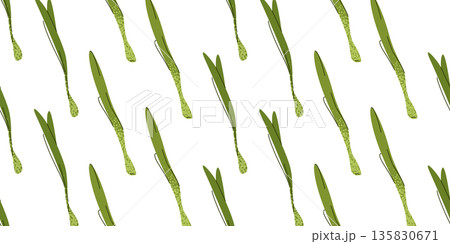 Green Onion Spring Salad Pattern 135830671