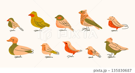 Spring Birds Character Illustration Set 135830687