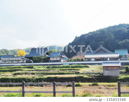 奈良県　秋の橘寺　11月 135831598