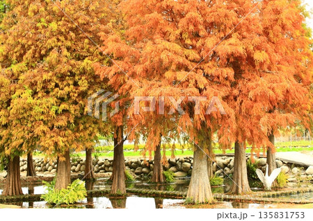 景色 風景 地形 135831753