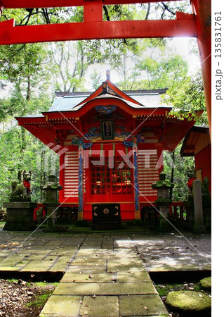 日本唯一の夢叶え大明神・夢結びの神様… 稲敷『大杉神社』の稲荷神社 135831761