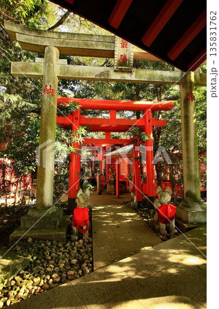 日本唯一の夢叶え大明神・夢結びの神様… 稲敷『大杉神社』の稲荷神社 135831762