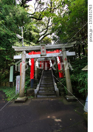 日本唯一の夢叶え大明神・夢結びの神様… 稲敷『大杉神社』の稲荷神社 日本唯一の夢叶え大明神・夢結びの神様… 稲敷『大杉神社』の稲荷神社 135831763
