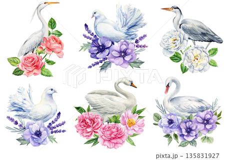 Elegant birds with flowers watercolor illustration set swan dove heron egret with roses peonies lavender 135831927