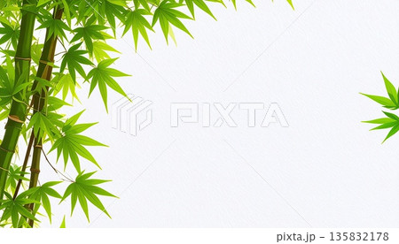 《AI画像》白背景に緑の葉 135832178