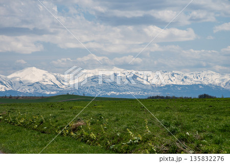春の緑の牧草畑と雪山 十勝岳連峰 春の緑の牧草畑と雪山 十勝岳連峰 135832276