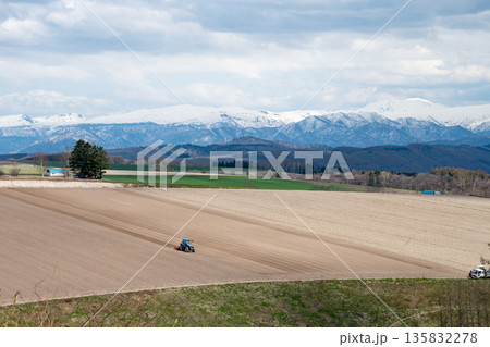 春の畑の農作業と雪山 135832278