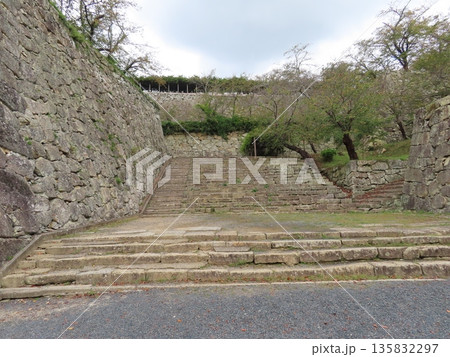 津山城、鶴山公園、美作国 苫田郡津山にある国の史跡の城、桜の名所としても有名、森忠政が築城 135832297