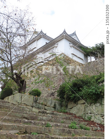 津山城、鶴山公園、美作国 苫田郡津山にある国の史跡の城、桜の名所としても有名、森忠政が築城 135832300