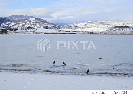 Lisi lake frozen in winter, small lake and popular recreation area in Tbilisi, Georgia 135832843