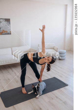 Windmill exercise. Woman with pug dog is doing yoga at home Windmill exercise. Woman with pug dog is doing yoga at home 135832964