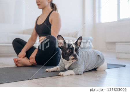Meditation, sitting in lotus pose. Woman with pug dog is doing yoga at home Meditation, sitting in lotus pose. Woman with pug dog is doing yoga at home 135833003