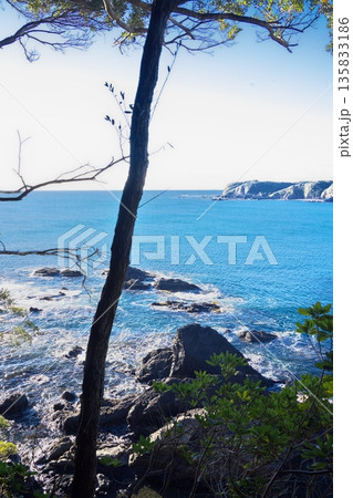 初冬の鳥羽市相差町　鯨崎遊歩道から菅崎を望む 135833186