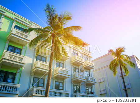 Palm trees on hotel apartments background. Palm trees at white building. Apartments on bright sky Palm trees on hotel apartments background. Palm trees at white building. Apartments on bright sky 135833291