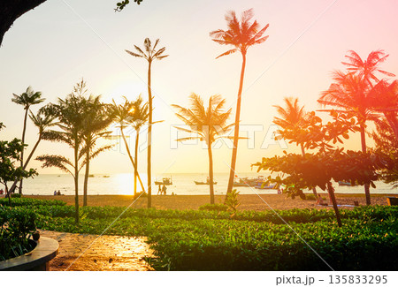 Palm trees on sunset background. Sea beach resort in holiday season. Boat in ocean, sandy shore Palm trees on sunset background. Sea beach resort in holiday season. Boat in ocean, sandy shore 135833295