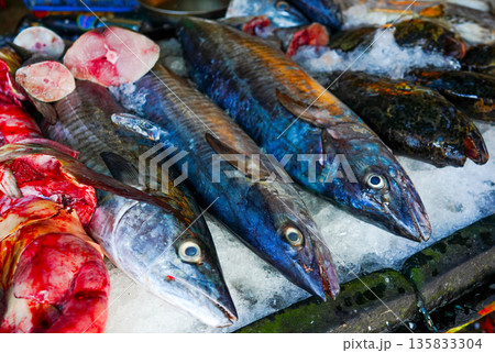 Fish close-up in seafood market. Fresh fish sale at local market. Freh seafood in ice on counter  135833304