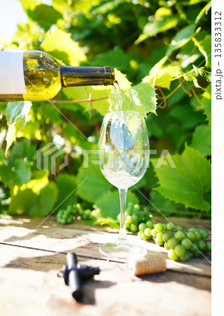 Wine bottle Wine glass on green grape leaves in vineyard background. Pouring white wine in glass 135833312
