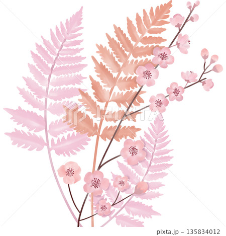 Watercolor illustration of soft pink sakura blossoms combined with fern leaves  in gentle pastel tones for Valentines Day. 135834012