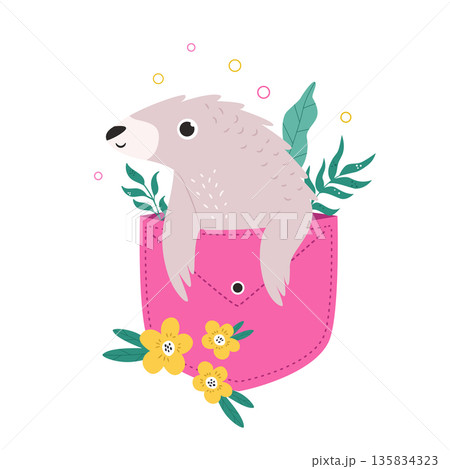 Adorable Baby Pangolin Character Peeking From Pocket Cartoon Vector Illustration for Kids 135834323