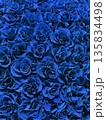 青い薔薇のフラワーテクスチャ背景 135834498