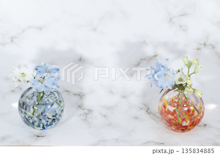 ガラスの一輪挿しに挿した二組のデルフィニュウムの花(左右配置) ガラスの一輪挿しに挿した二組のデルフィニュウムの花(左右配置) 135834885