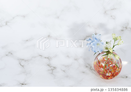 ガラスの暖色一輪挿しに挿したデルフィニウムの花(右配置) ガラスの暖色一輪挿しに挿したデルフィニウムの花(右配置) 135834886