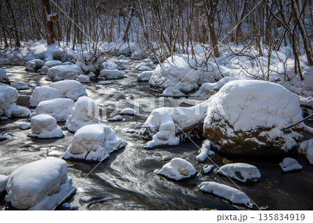 冬の奥入瀬渓流 岩に積もった雪の綿帽子と清流の風景 冬の奥入瀬渓流 岩に積もった雪の綿帽子と清流の風景 135834919
