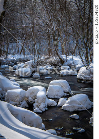 冬の奥入瀬渓流 岩に積もった雪の綿帽子と清流の風景 冬の奥入瀬渓流 岩に積もった雪の綿帽子と清流の風景 135834920