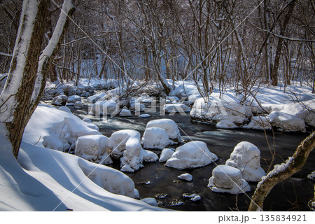 冬の奥入瀬渓流　岩に積もった雪の綿帽子と清流の風景 135834921
