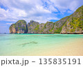 エメラルドグリーンの海と石灰岩の断崖が広がるタイ・ピピ島マヤビーチの絶景リゾート風景 135835191