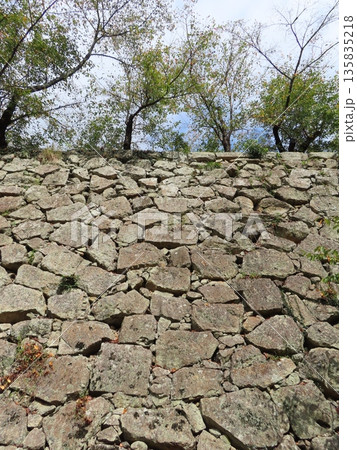 津山城、鶴山公園、美作国 苫田郡津山にある国の史跡の城、桜の名所としても有名、森忠政が築城 135835218