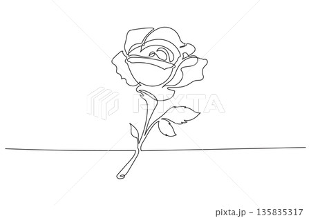 Continuous One Line Drawing of a Rose eps10 135835317