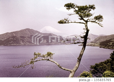 古写真　1961年　箱根公園から望む芦ノ湖と富士山 135835765