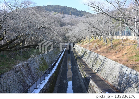 冬の琵琶湖疎水 135836170