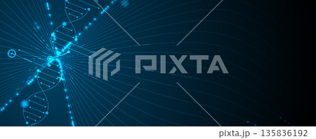 Futuristic molecule helix spiral, DNA strands, connected neural web 135836192