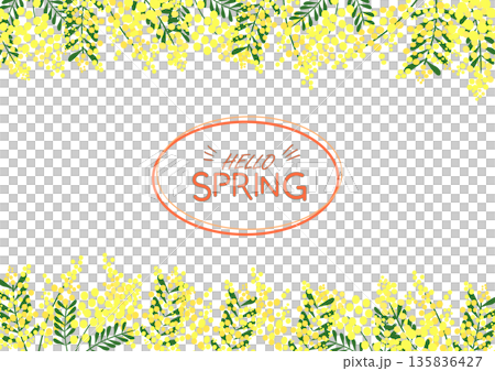 Rape blossom vertical frame background 135836427