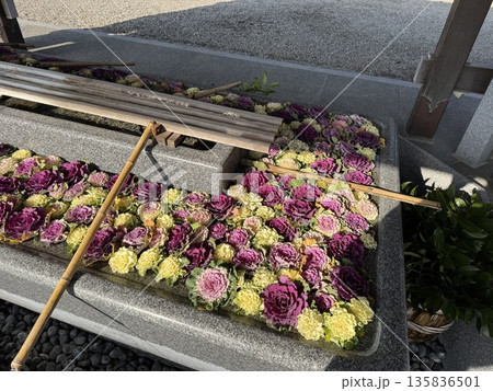 花手水・手水舎　※越中総鎮守一宮 射水神社　初詣（撮影地：富山県高岡市、撮影時期：1月） 135836501