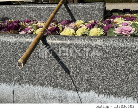 花手水・手水舎 ※越中総鎮守一宮 射水神社 初詣(撮影地:富山県高岡市、撮影時期:1月) 花手水・手水舎 ※越中総鎮守一宮 射水神社 初詣(撮影地:富山県高岡市、撮影時期:1月) 135836502