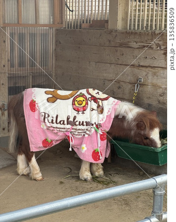 餌を食べるポニー(撮影地:高岡古城公園動物園 ※富山県高岡市、撮影時期:1月) 餌を食べるポニー(撮影地:高岡古城公園動物園 ※富山県高岡市、撮影時期:1月) 135836509