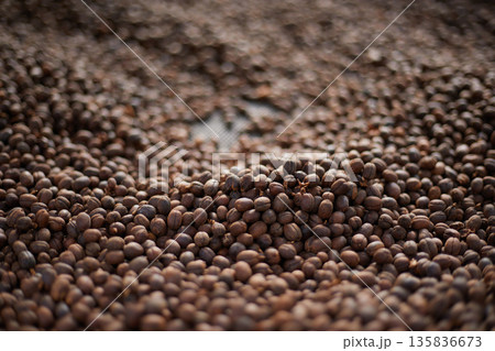 Raw coffee beans, coffee drying process on shelf natural sunlight plantation at factory Raw coffee beans, coffee drying process on shelf natural sunlight plantation at factory 135836673