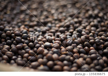 Raw coffee beans, coffee drying process on shelf natural sunlight plantation at factory Raw coffee beans, coffee drying process on shelf natural sunlight plantation at factory 135836675