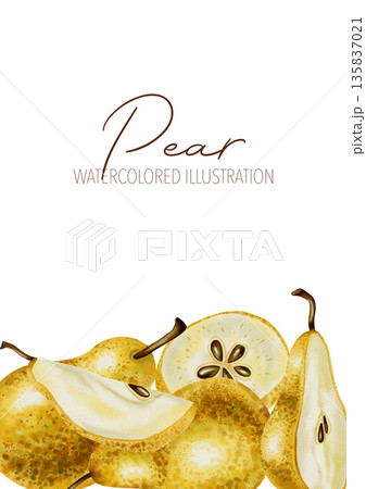 Hand painted watercolor frame featuring whole pears and slices. Perfect for elegant invitations, cosmetic labels, food packaging, textile prints, and menus. Hand painted watercolor frame featuring whole pears and slices. Perfect for elegant invitations, cosmetic labels, food packaging, textile prints, and menus. 135837021