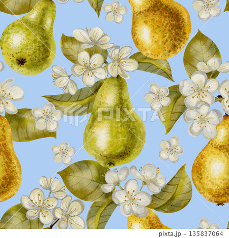 Seamless hand-drawn watercolor pattern featuring pears and delicate white flowers and leaves. Perfect for packaging, textiles, wallpaper, and fabric printing 135837064