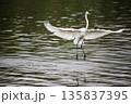 White bird with a yellow beak is flying over a body of water 135837395