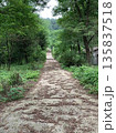 緑に囲まれた小道 135837518
