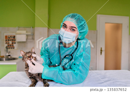 Compassionate Veterinarian in Protective Gear Examines Cat with Stethoscope in Clinic Compassionate Veterinarian in Protective Gear Examines Cat with Stethoscope in Clinic 135837652
